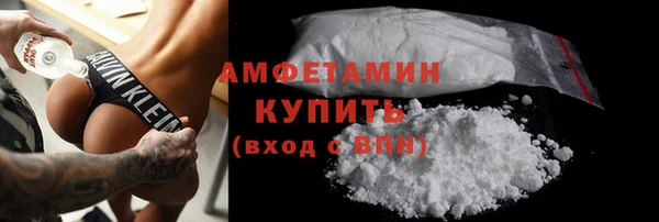 прущие грибы Медногорск