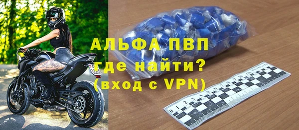 прущие грибы Медногорск