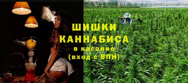 бутират Мегион